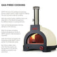 WPPO - Infinity 66 Wood / Gas Hybrid - 3 Pizza Oven